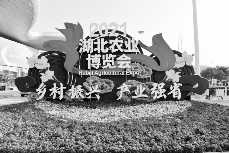 湖北农业博览会在武汉开幕 农业招商引资创新高