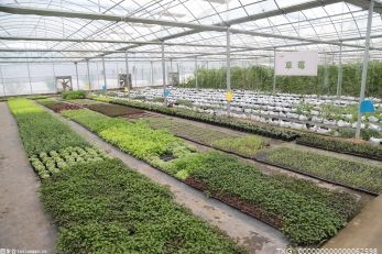 东至县加强农产品质量监管 提升农产品质量安全水平