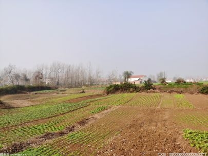 庐江推进高标准农田建设 提升农业生产环境
