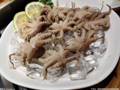 魷魚章魚墨魚的名字里都帶“魚” 但它們并不屬于魚類