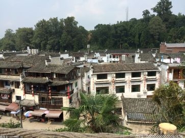 杭州双村“幸福的烦恼” 乡村高质量发展