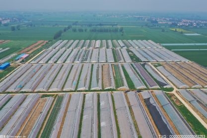 哈尔滨开展首个黑土地保护周活动 新建高标准农田1100万亩