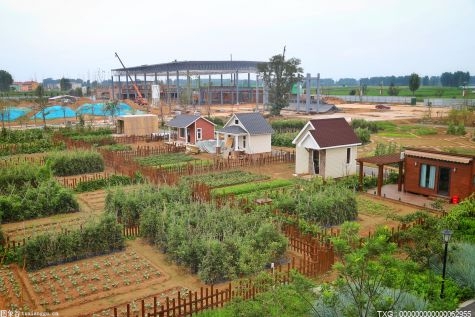 安徽长丰县推进“厕所革命” 提升农村人居环境水平 