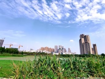 深圳有序恢复跨省游 推动文体旅游行业恢复发展